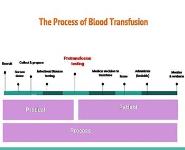 Blood Typing PowerPoint Presentation