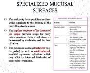 ORAL MICROFLORA PowerPoint Presentation