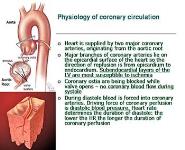 Chronic forms of ischemic heart disease PowerPoint Presentation Notes