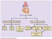 Coronary Heart Disease