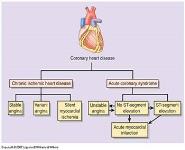 Coronary Heart Disease PowerPoint Presentation