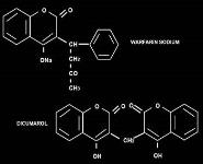 Oral Anticoagulant Therapy PowerPoint Presentation Notes