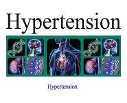 Hypertension PowerPoint Presentation