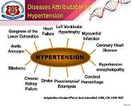 Diagnosis and management of Hypertension PowerPoint Presentation