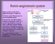 Antihypertensive Drugs PowerPoint Presentation