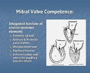 Valvular Heart Disease PowerPoint Presentation Notes
