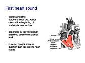 Heart Sounds and Murmurs