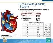 Atrial Fibrillation and Cryptogenic Stroke: Is There a Link PowerPoint Presentation
