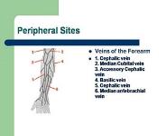 Venous Access PowerPoint Presentation Notes