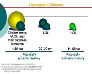 Atherosclerosis and Atherothrombosis PowerPoint Presentation