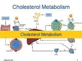 Cholesterol Metabolism