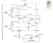 Atherosclerosis PowerPoint Presentation