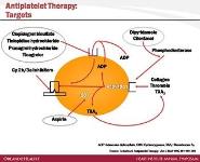 Antiplatelet and Anticoagulation Therapy-What You Need to Know PowerPoint Presentation