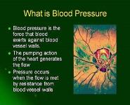 Measuring Blood Pressure PowerPoint Presentation