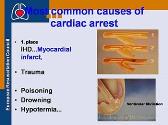 Basic Life Support and Automated External Defibrillation Course