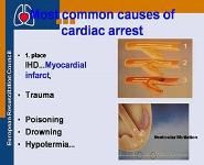 Basic Life Support and Automated External Defibrillation Course PowerPoint Presentation