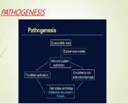 Scleroderma Medical Notes