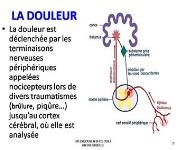 LES ANTALGIQUES PowerPoint Presentation Notes