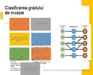 Punctia Biopsie Prostatica PowerPoint Presentation Notes