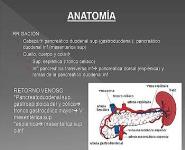 Pancreatitis PowerPoint Presentation