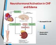 Pathogenesis of cardiac symptoms PowerPoint Presentation Notes
