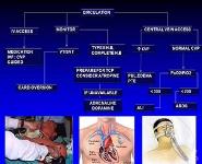 Approach to the Patient with Dyspnea PowerPoint Presentation