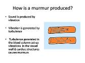 Murmur and Dynamic Auscultation of Cardiovascular System