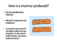 Murmur and Dynamic Auscultation of Cardiovascular System PowerPoint Presentation