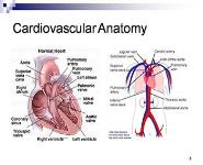 Heart Sound Analysis: Theory Techniques and Applications PowerPoint Presentation Notes