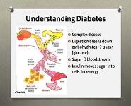 Diabetes Basics PowerPoint Presentation Notes