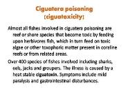 Food Borne Diseases PowerPoint Presentation Notes