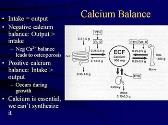 Study Guide for Calcium and Phosphate Metabolism