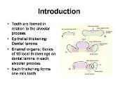 Development of Teeth