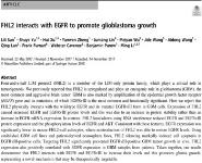 FHL2 interacts with EGFR Medical Notes