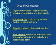 Dental Plaque PowerPoint Presentation