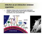 Dental Plaque Biofilm PowerPoint Presentation