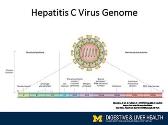 Chronic hepatitis C guidelines for screening and treatment