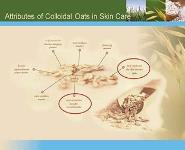 Oats in Skin Care PowerPoint Presentation
