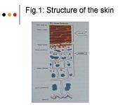 Skin care preparations PowerPoint Presentation