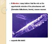 Acne Rosacea PowerPoint Presentation Notes