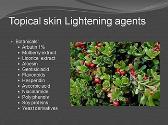 Review of Topical Skin Lightening Agents