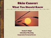 Skin Cancer What You Should Know