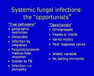 Fungal Infections PowerPoint Presentation Notes