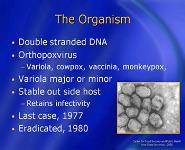 Smallpox PowerPoint Presentation Notes