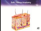 Soft Tissue Injuries