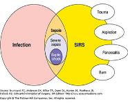 Surgical Infections PowerPoint Presentation