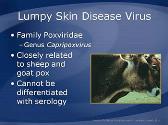 Lumpy Skin Disease