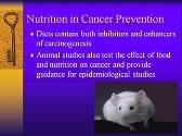 Nutrition in Cancer Prevention