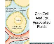Water and The Body Fluids PowerPoint Presentation Notes