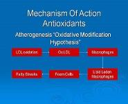 Nutrition and Cardiac Health PowerPoint Presentation